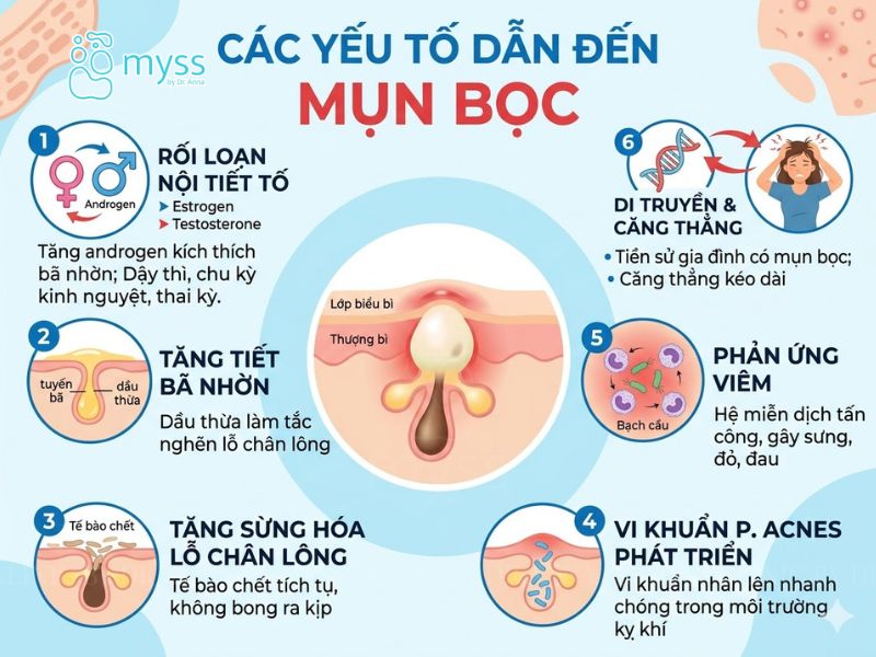 Nguyên nhân gây ra mụn bọc